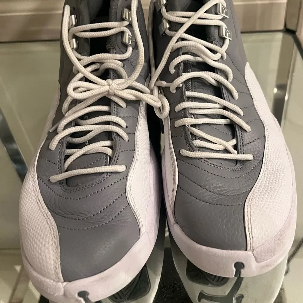 Jordan 12 stealth